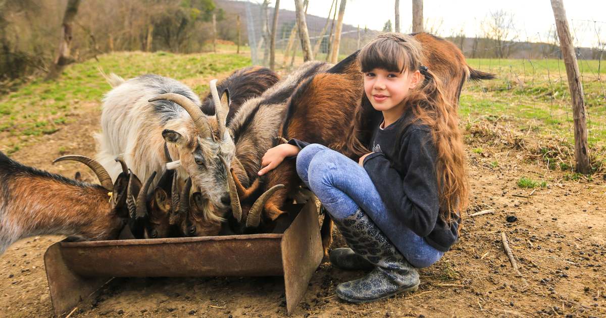 Family farm in Németbánya: “The state of mind changes here”