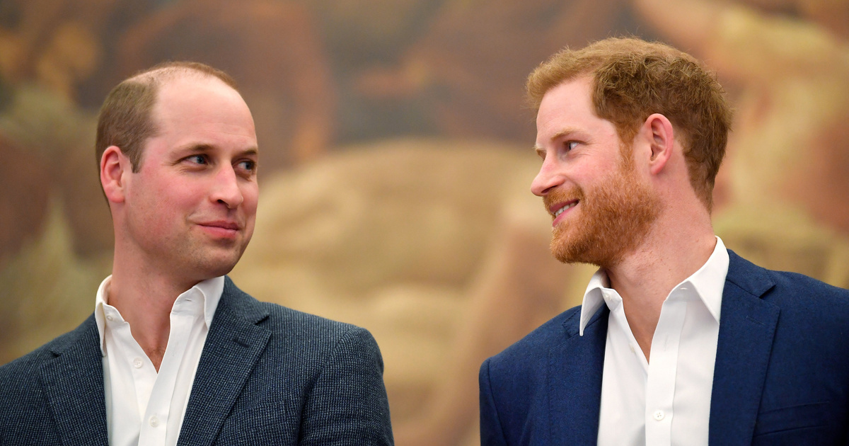 Index – FOMO – Looks like the ice between Harry and William is breaking down